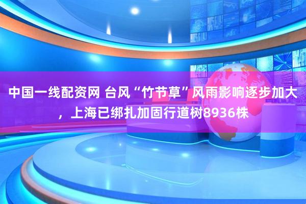 中国一线配资网 台风“竹节草”风雨影响逐步加大，上海已绑扎加固行道树8936株